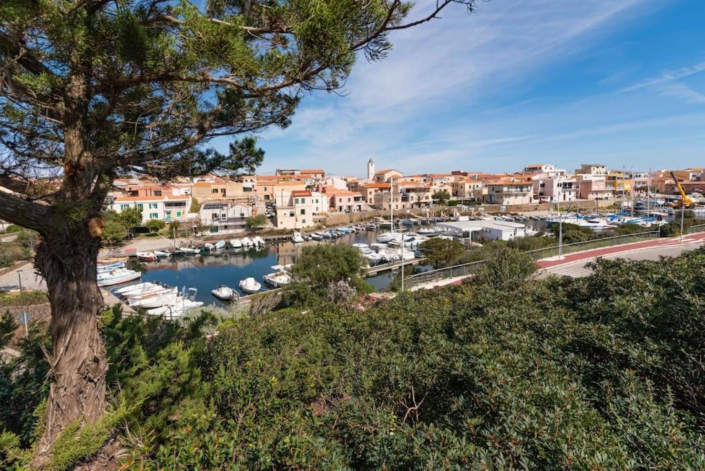 La Lampara - Casa Panoramica 4 Km Dalla Pelosa 斯廷蒂诺 外观 照片